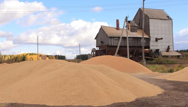 Красноярский край больше всего зерна экспортирует в Монголию