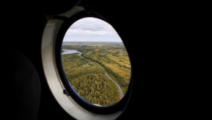 Томская область выделит 70 млн руб на охрану лесов региона