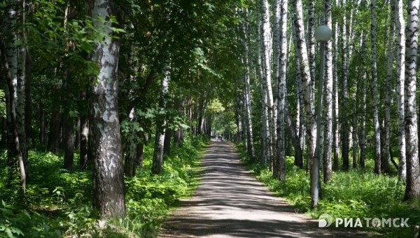 Михайловская роща Томска откроется как городской парк в 2017г