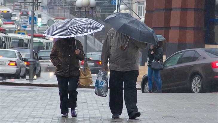 МЧС: сильный ветер и град ожидаются в Томской области в выходные
