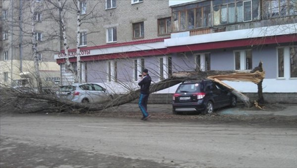 Двое горожан получили травмы из-за ветра в Томске