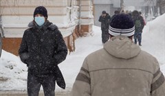 Почти 200 жителей Томской области болеют свиным гриппом