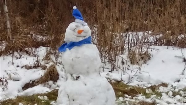 Вестники зимы: на улицах Колпашева появились снеговики