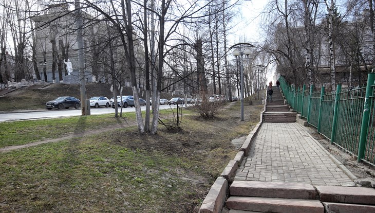 "Зеленстрой" планирует высадить 185 лип на проспекте Ленина в Томске