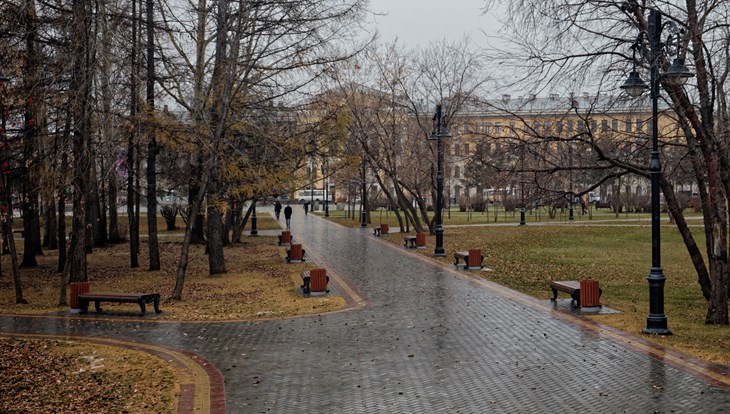 Небольшие осадки и плюсовая температура ожидаются в Томске в субботу