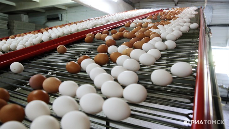 "Сибагро" увеличит производство яиц в Томске на 63% в 2025г