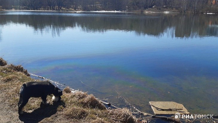 Эксперт: нефтяные пятна на озере в Ботсаду Томска – наследие нефтебазы