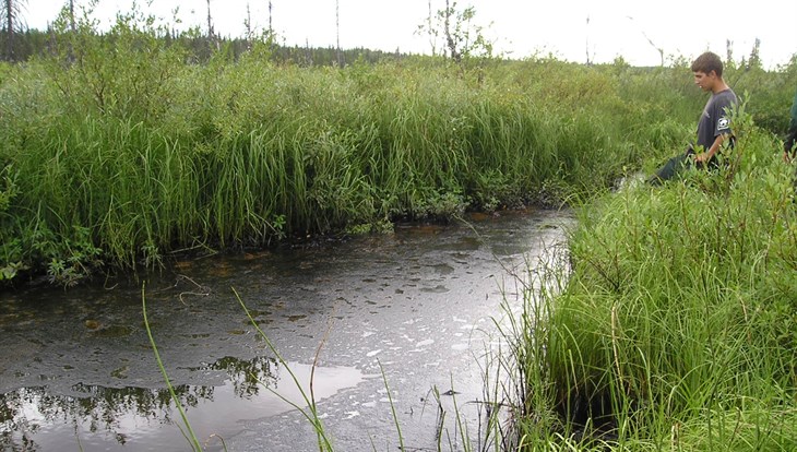 Биологи ТГУ предложили свои разработки для очистки водоемов Норильска
