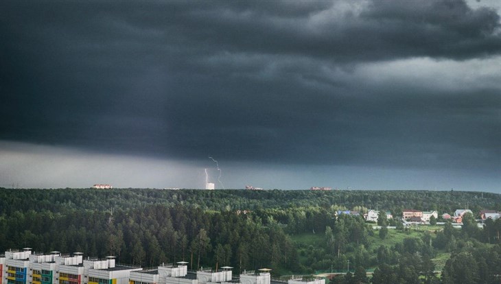 МЧС: дождь, ветер до 24м/с, град ожидаются в Томской области 30-31 мая