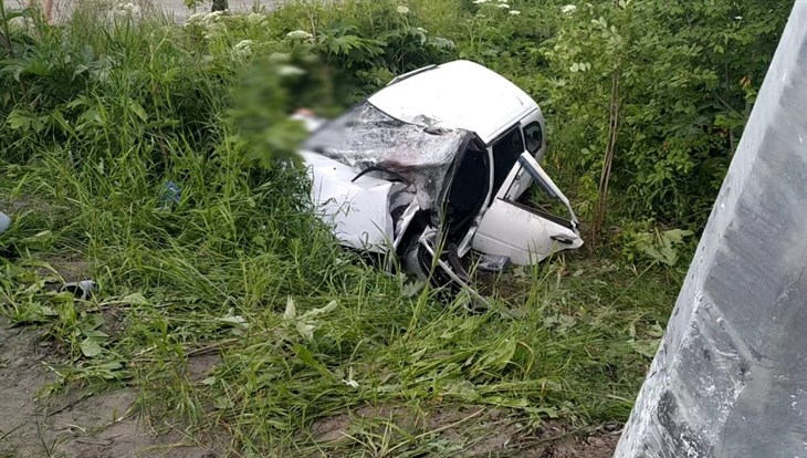 Водитель и пассажир Lada погибли в ДТП около Зонального под Томском