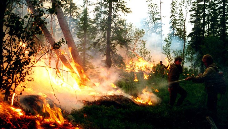 Лесоохрана назвала пожар на томском севере одним из самых сложных в РФ