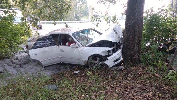 Автомобиль Toyota врезался в дерево в Северске, двое пострадали