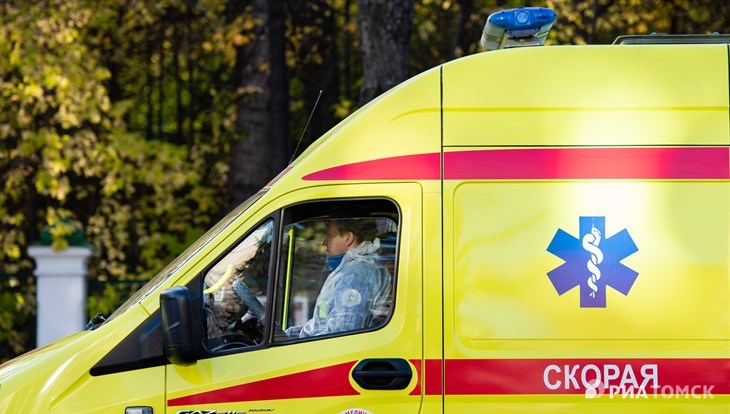 Томский детсадовец попал в больницу после удара кирпичом на прогулке