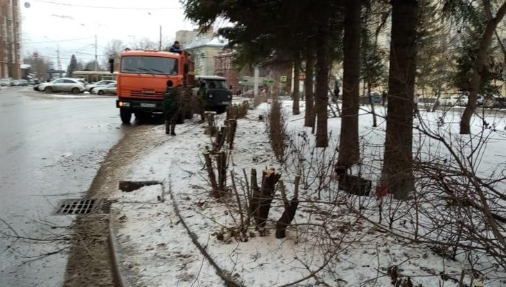 Подрядчик объяснил, зачем рабочие спилили яблони на пр.Кирова в Томске