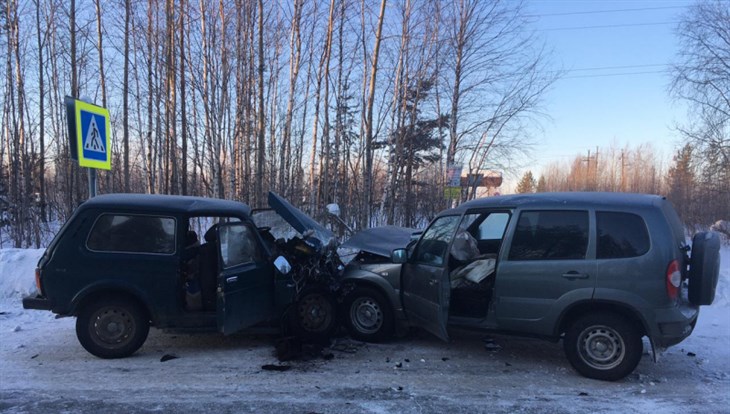 Водители двух "Нив" попали в больницу после ДТП на томском севере