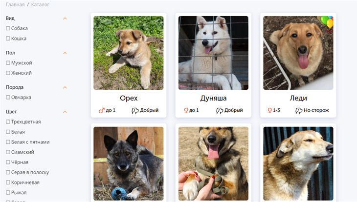 Томичи создали сайт с "аккаунтами"  животных из местных приютов