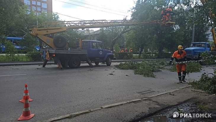 Дерево упало на автобус №23 на пр.Кирова в Томске, пострадавших нет