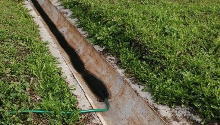Ботсад ТГУ жалуется на незаконный сброс канализации из больницы УМВД
