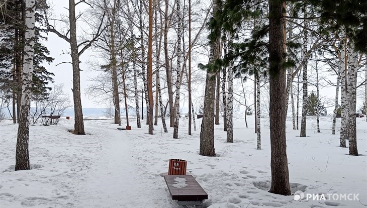 Небольшое похолодание и снегопад ожидаются в четверг в Томске