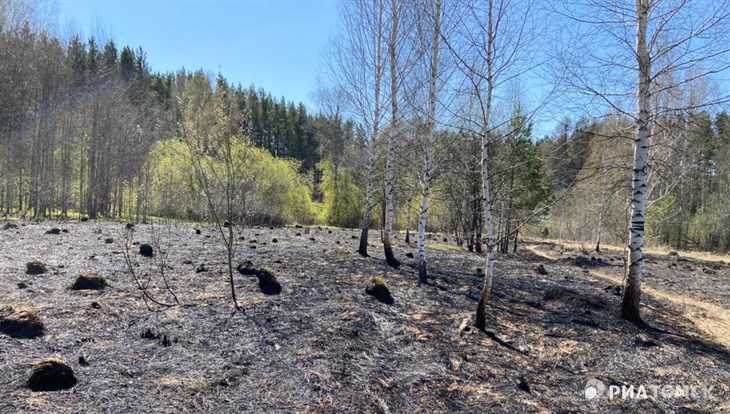 Трава горит на Семейкином острове в Томске во вторник днем