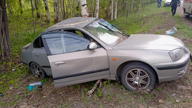 Водитель погиб под Томском, врезавшись в дерево у дороги