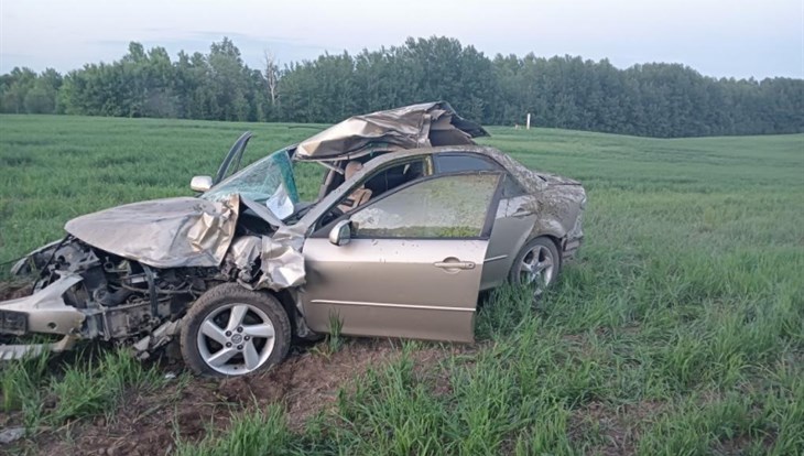Водитель и 13-летний пассажир погибли в ДТП с лосем в Томской области