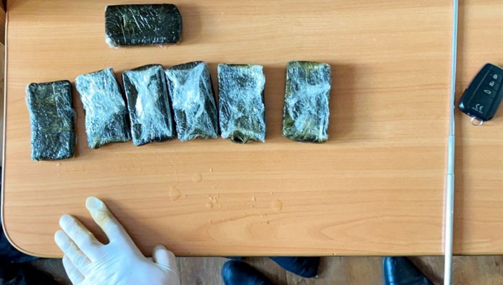 Томские полицейские нашли в унитазе пенсионерки 700 граммов наркотиков