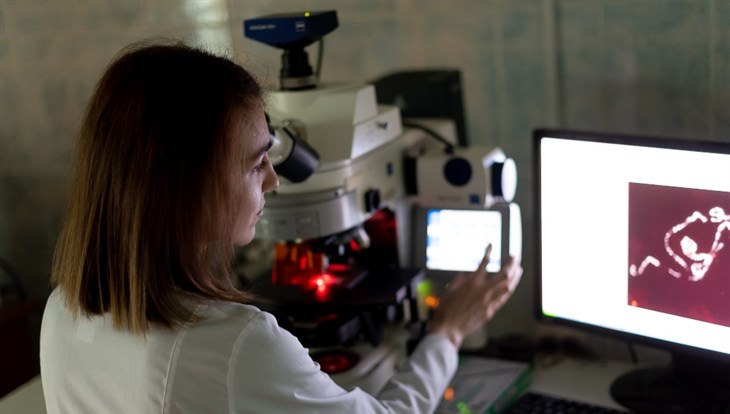 Белок для генной инженерии: в ТГУ изучают микробиом малярийных комаров