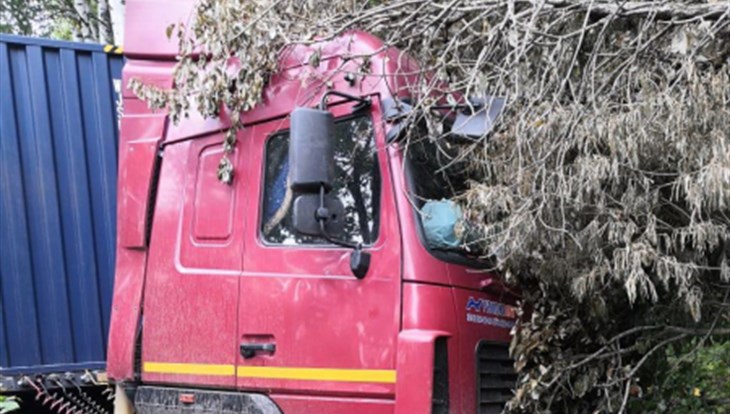 Водитель "МАЗа" погиб на трассе Томск-Мариинск, врезавшись в дерево