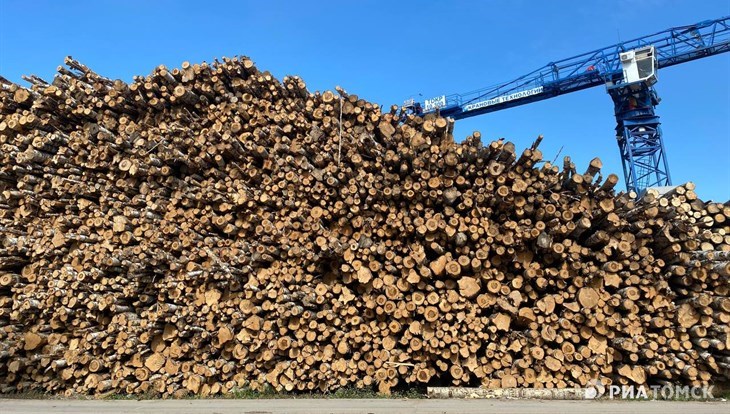 Томские экспортеры снова могут вывозить лес в Азию удобными маршрутами