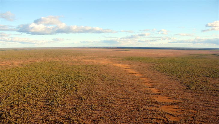 Томские ученые узнали точную площадь болот в заповеднике "Васюганский"