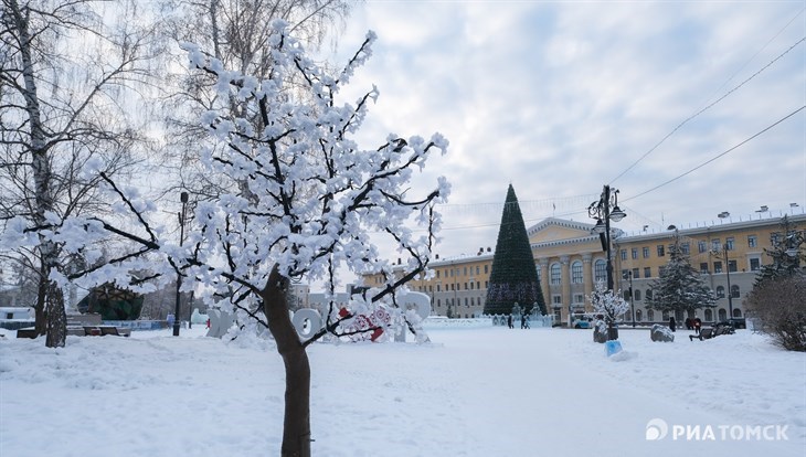 Небольшой снегопад ожидается в Томске в пятницу