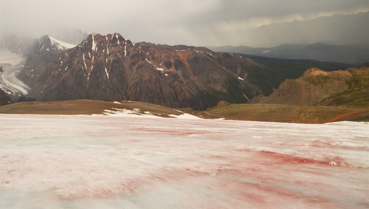 Ученые ТГУ изучают "кровавый" ледник в Горном Алтае
