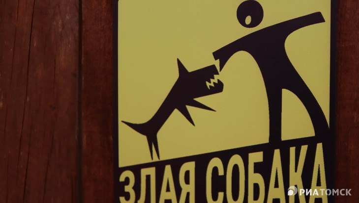 Служба отлова изолировала собаку, напавшую на девочку в Томске