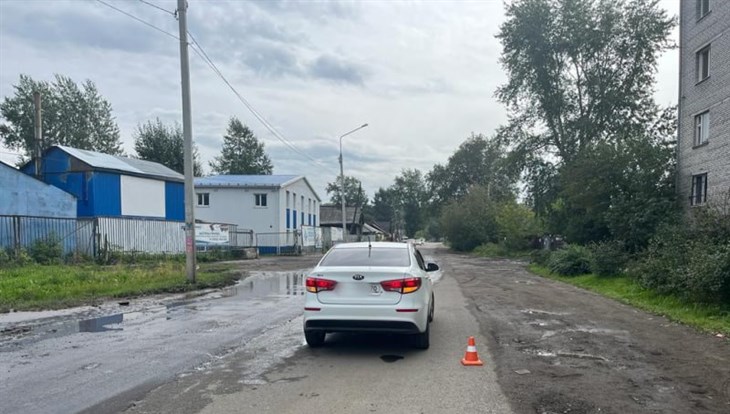 Женщина, убегая от собак, попала под колеса машины в Томске