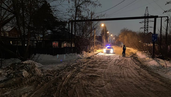 ГИБДД ищет тракториста, скрывшегося после наезда на пешехода в Томске