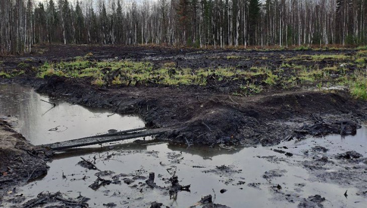 "Томскнефть ВНК" заплатила 20млн руб за разлив нефти на томском севере