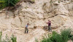 Ученые ТГУ реконструировали ландшафт Сибири времен динозавров