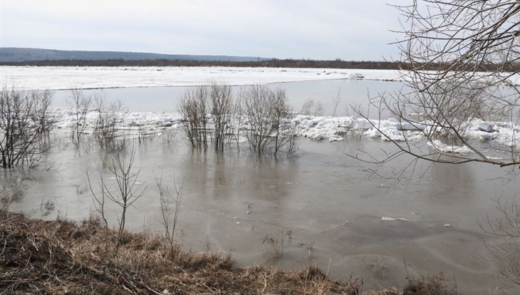 Мазур: нужно приступать к оценке ущерба от паводка в Томской области