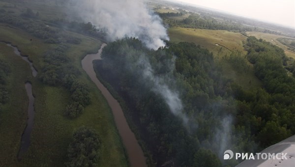 Площадь лесных пожаров в Томской области за сутки сократилась на треть