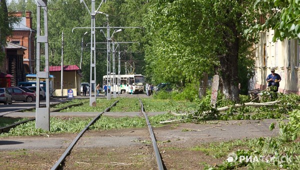 Ветер повалил два дерева в Томске в четверг вечером