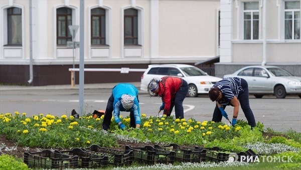Кадровый центр подбирает сезонных рабочих для озеленения Томска