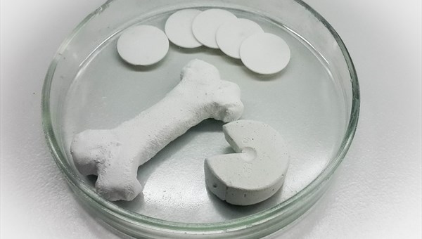 Химики ТГУ разрабатывают разлагаемый биоматериал для замены костей