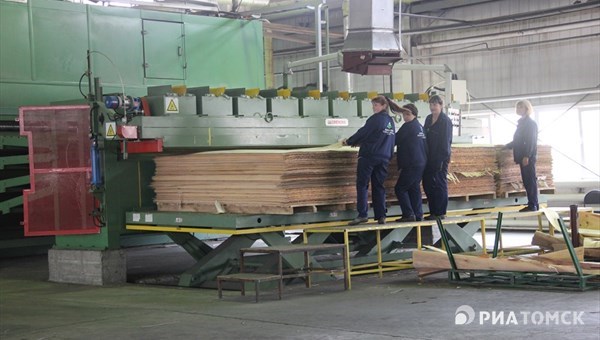 Инвесторы вложили 20 млрд руб в строительство заводов в Асиновском ЛПК