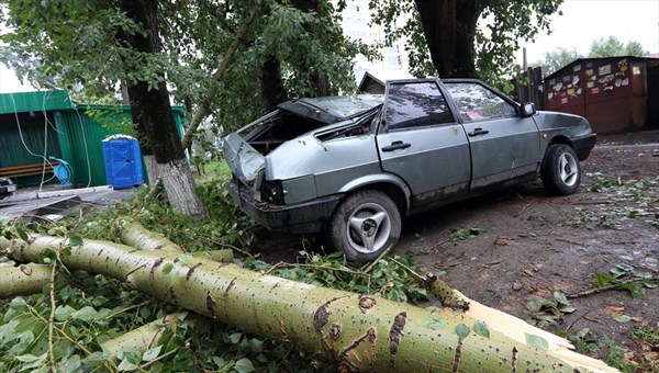 Мужчина пострадал в машине, на которую в грозу упало дерево в Томске
