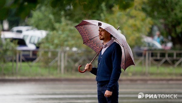 Жаркая погода с дождем и ветром ожидается в Томске в воскресенье