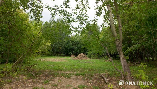 Спортплощадки и сад камней могут появиться в Михайловской роще Томска