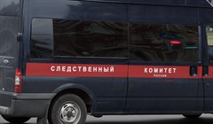 Томский СК закрыл дело инспектора, работавшей с семьей Мальцевой