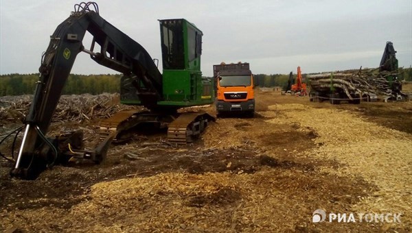 Томлесдрев до конца 2015 года запустит новый завод ДСП