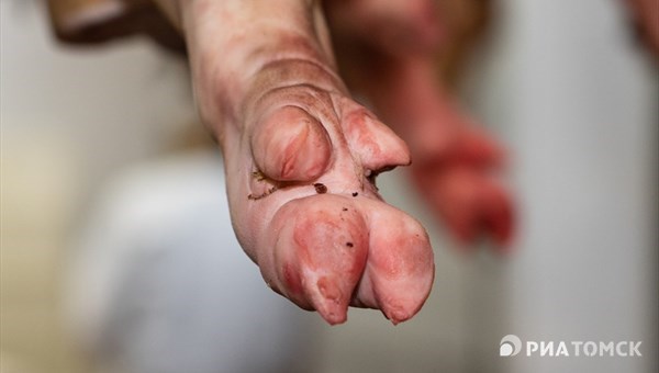 Томский агроходинг начнет поставлять свиные ножки в Гонконг в июне